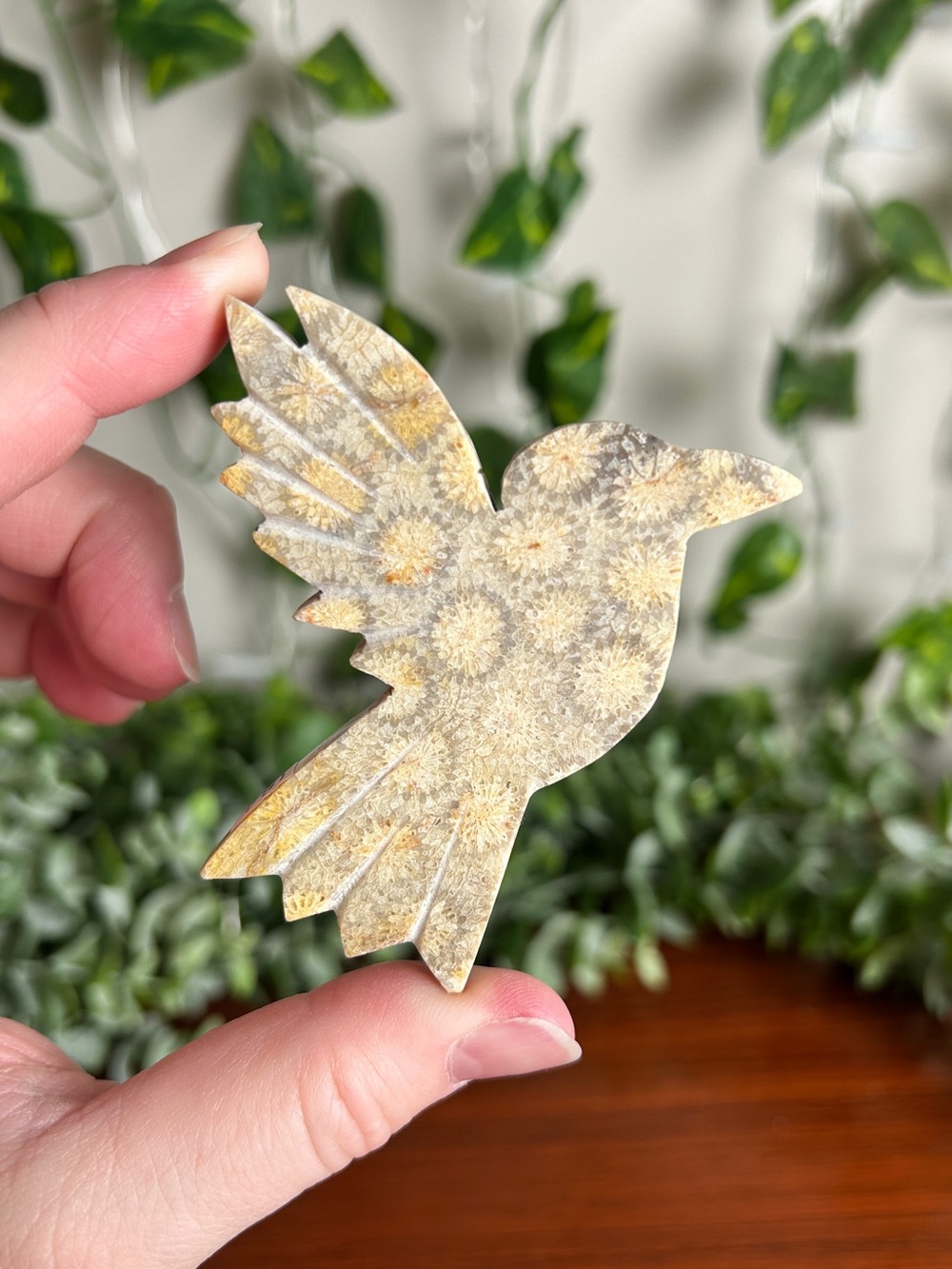 Fossilized Coral Hummingbird A